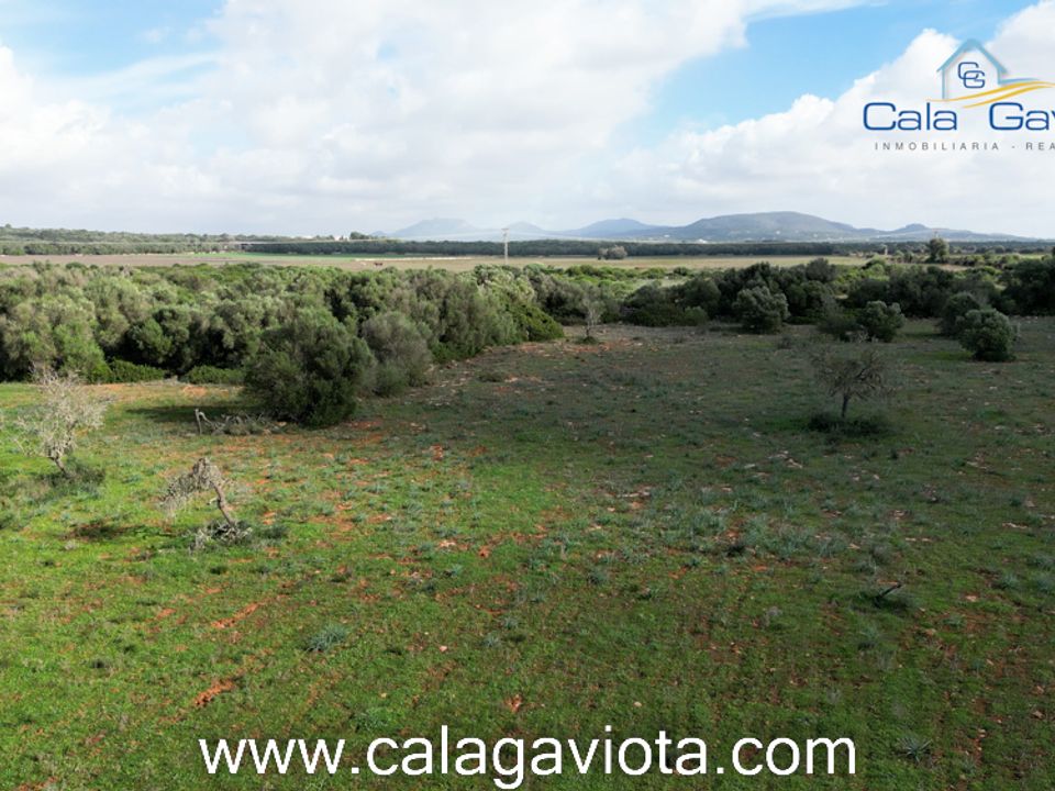 Helårsgrund i Ses Salines, Mallorca - foto 3