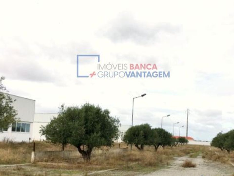 Erhvervsejendom i Moura, Beja - foto 4