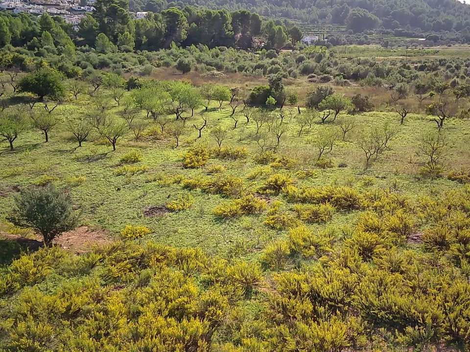 Helårsgrund i Murla, Alicante - foto 4