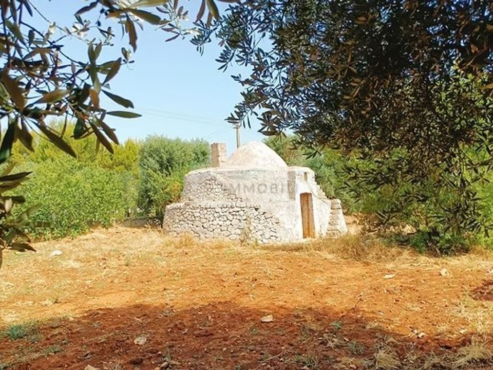 Tomt i Carovigno, Brindisi - bilde 1
