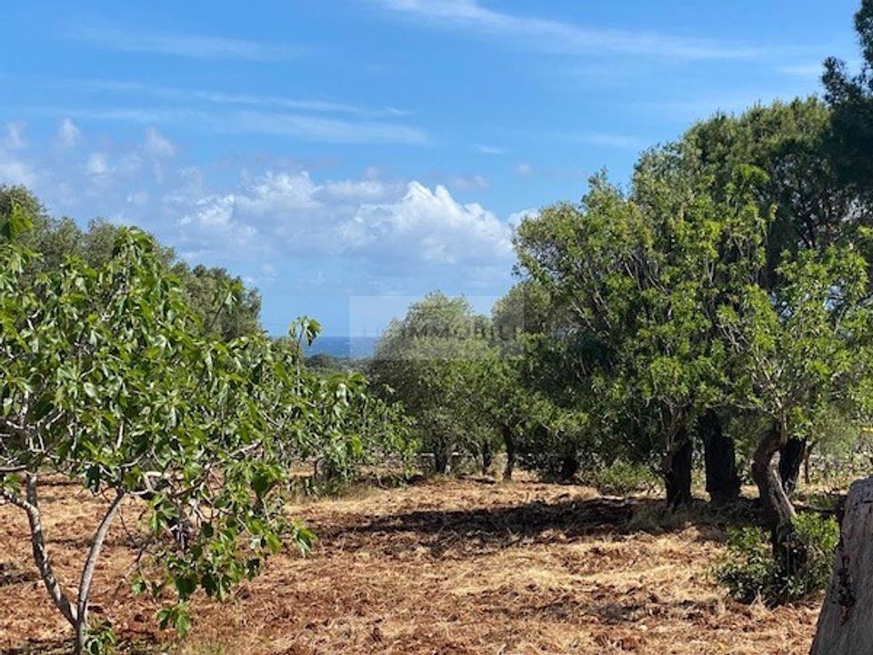 Helårsgrund i Carovigno, Brindisi - foto 3