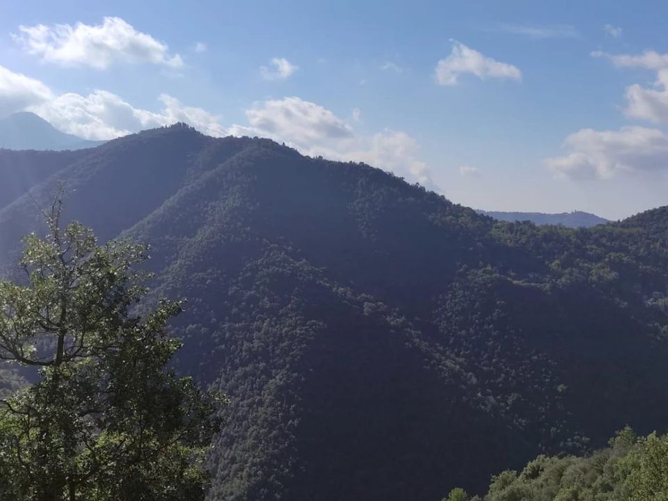 Villa i Apricale, Imperia - foto 4