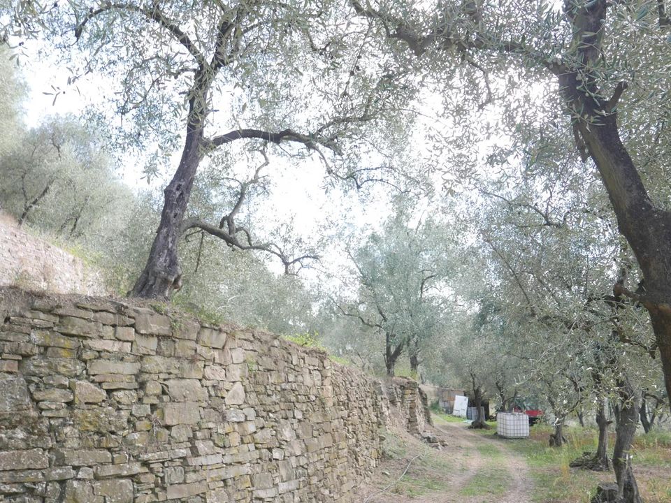 Villa i Apricale, Imperia - foto 5