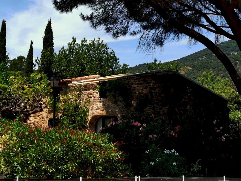 Villa i Le Plan-de-la-Tour, Var - foto 5
