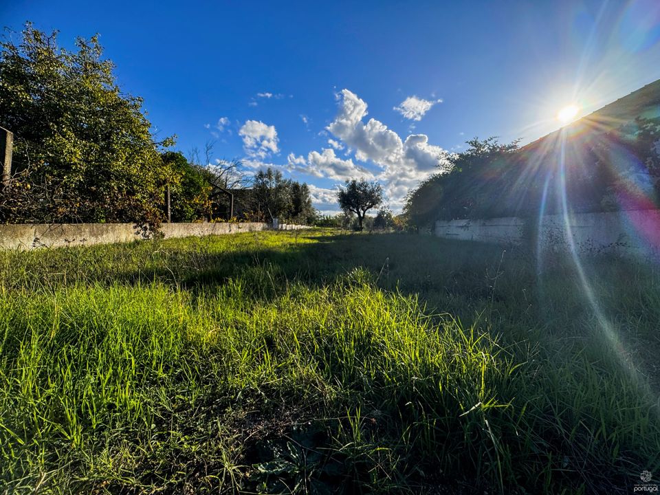 Helårsgrund i Tomar, Santarem - foto 3