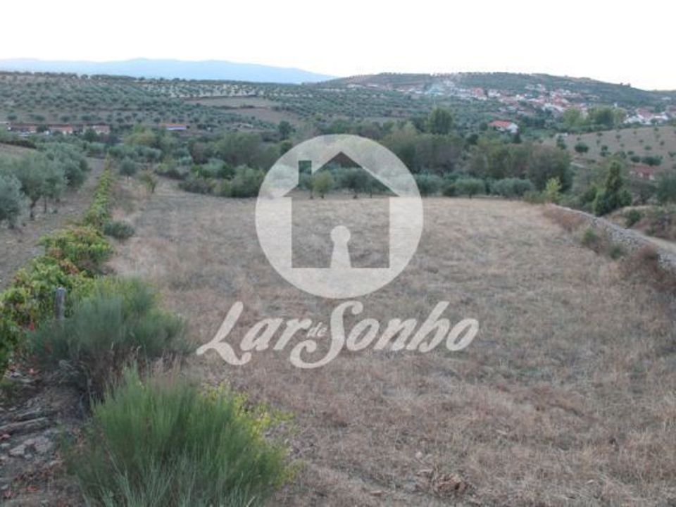 Farm i Macedo de Cavaleiros, Braganca - foto 3