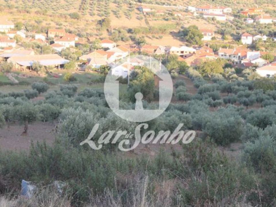 Farm i Macedo de Cavaleiros, Braganca - foto 4