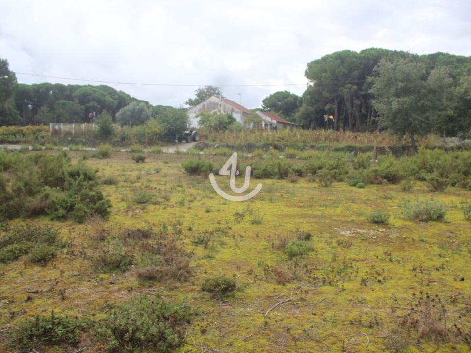 Helårsgrund i Ourem, Santarem - foto 1