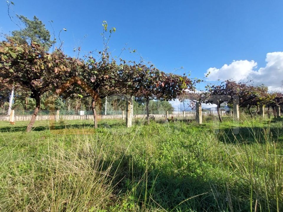 Helårsgrund i Moncao, Viana do Castelo - foto 3
