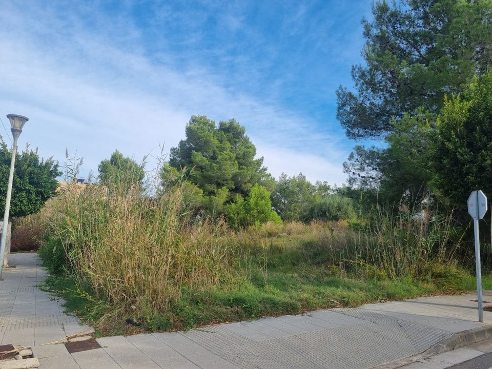 Helårsgrund i Alcudia, Mallorca - foto 2