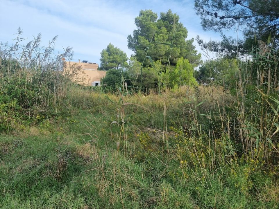 Helårsgrund i Alcudia, Mallorca - foto 3