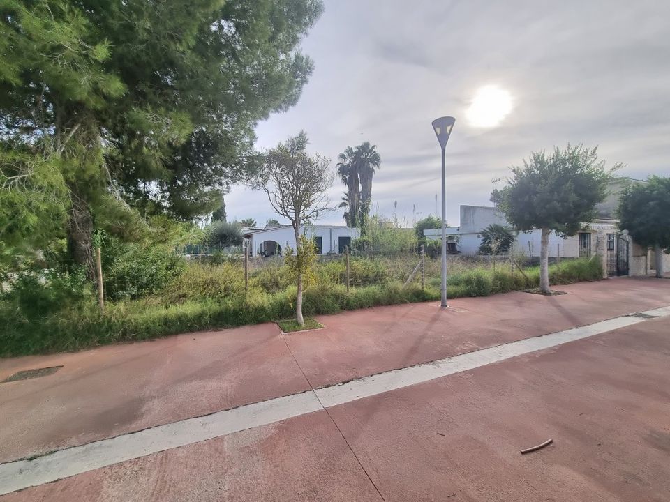 Tomt i Alcudia, Mallorca - bilde 2