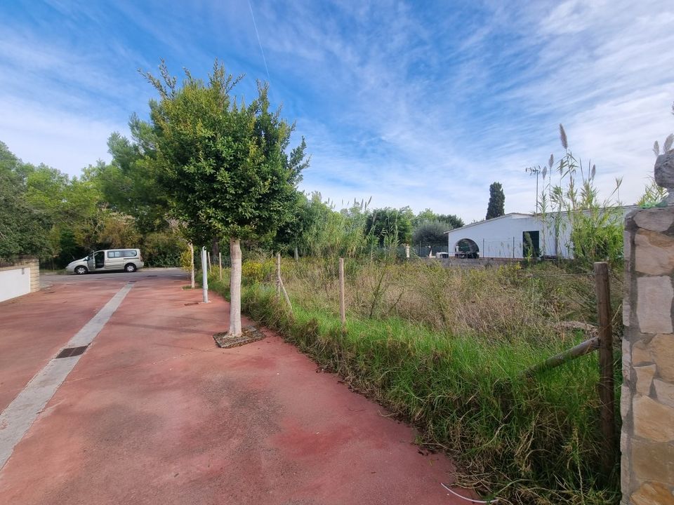 Tomt i Alcudia, Mallorca - bilde 4