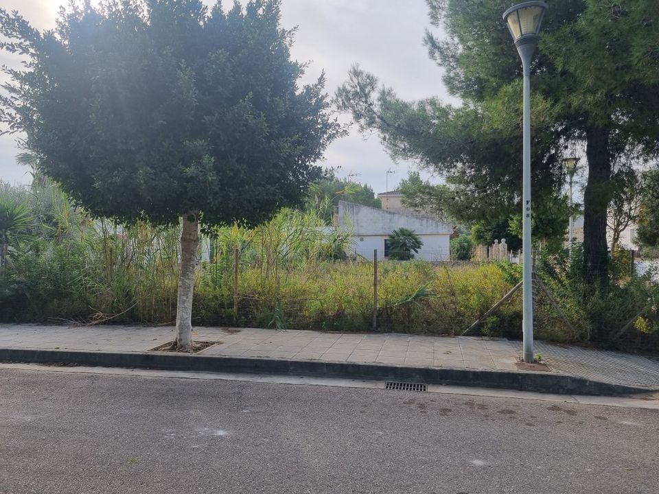 Tomt i Alcudia, Mallorca - bilde 5