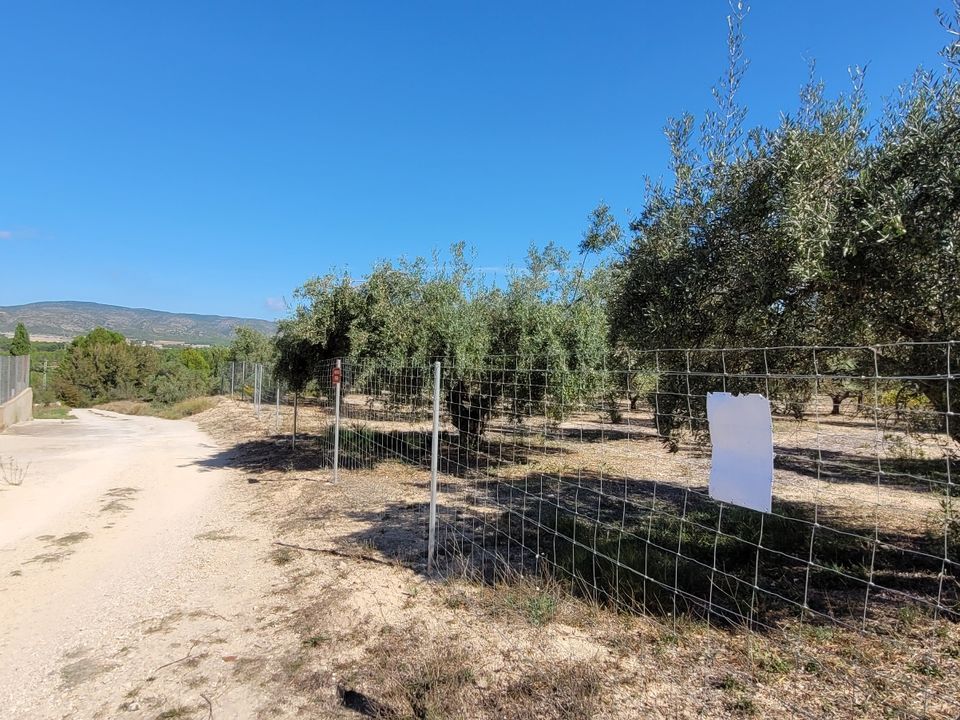 Helårsgrund i Ontinyent, Valencia - foto 4