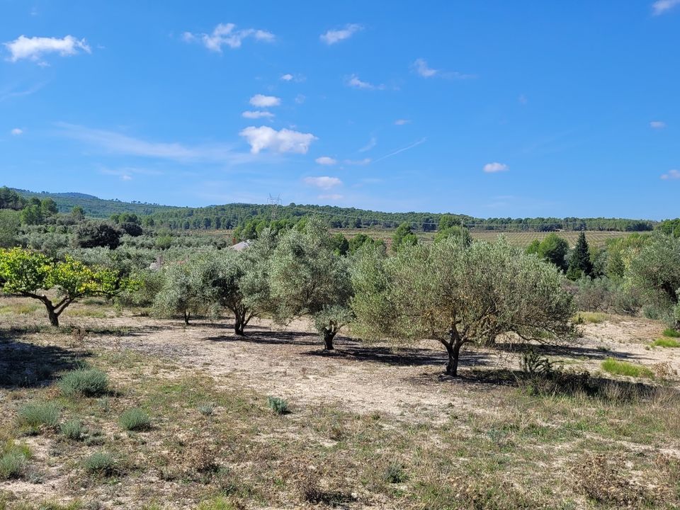 Helårsgrund i Ontinyent, Valencia - foto 1