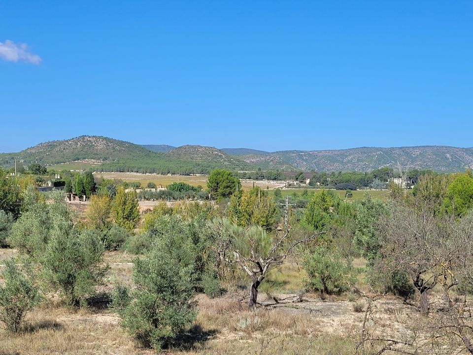 Helårsgrund i Ontinyent, Valencia - foto 3