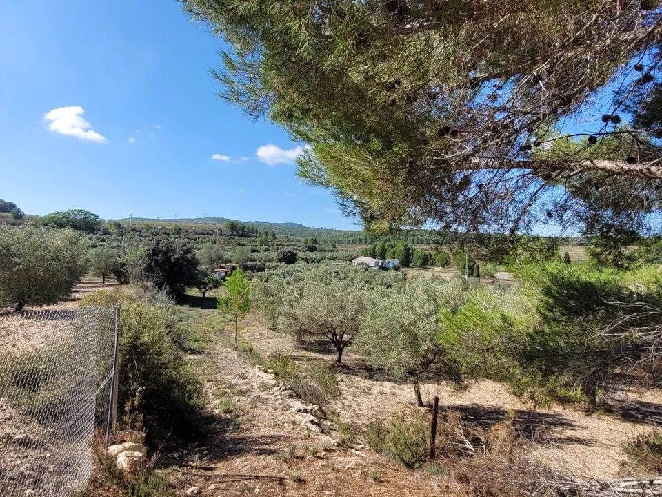 Helårsgrund i Ontinyent, Valencia - foto 2