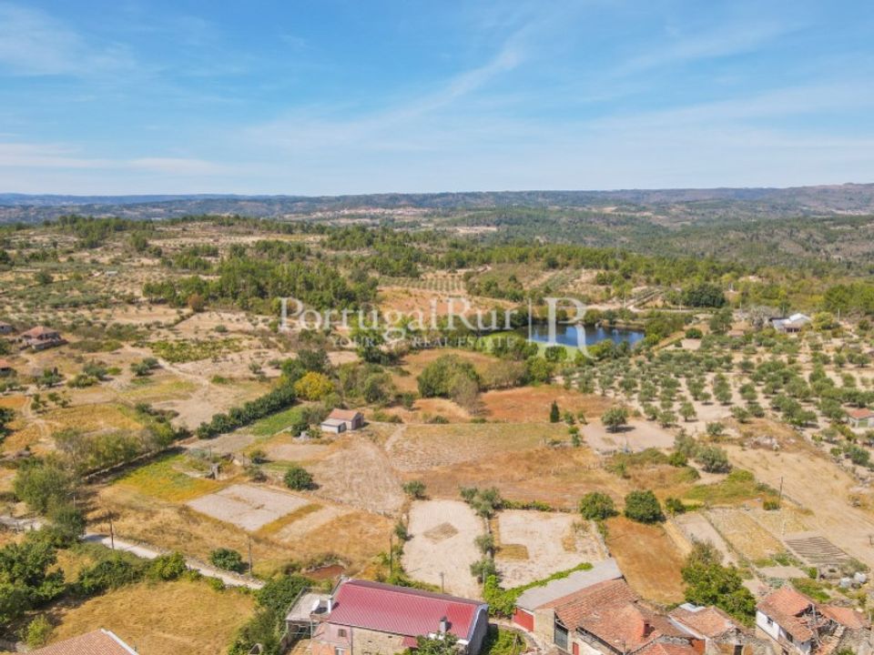 Gård i Mirandela, Braganca - bilde 5