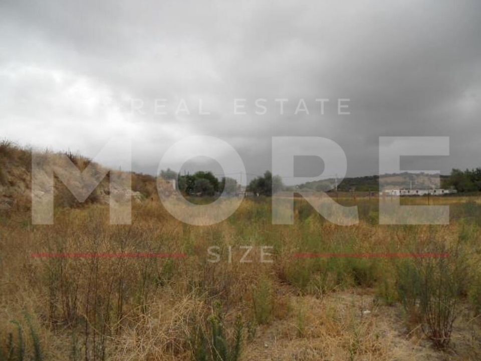 Terreno en Alvito, Beja - foto 1