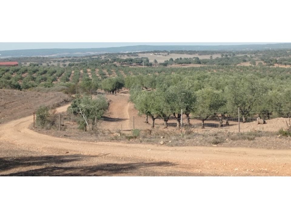 Casa de campo en Portel, Evora - foto 4