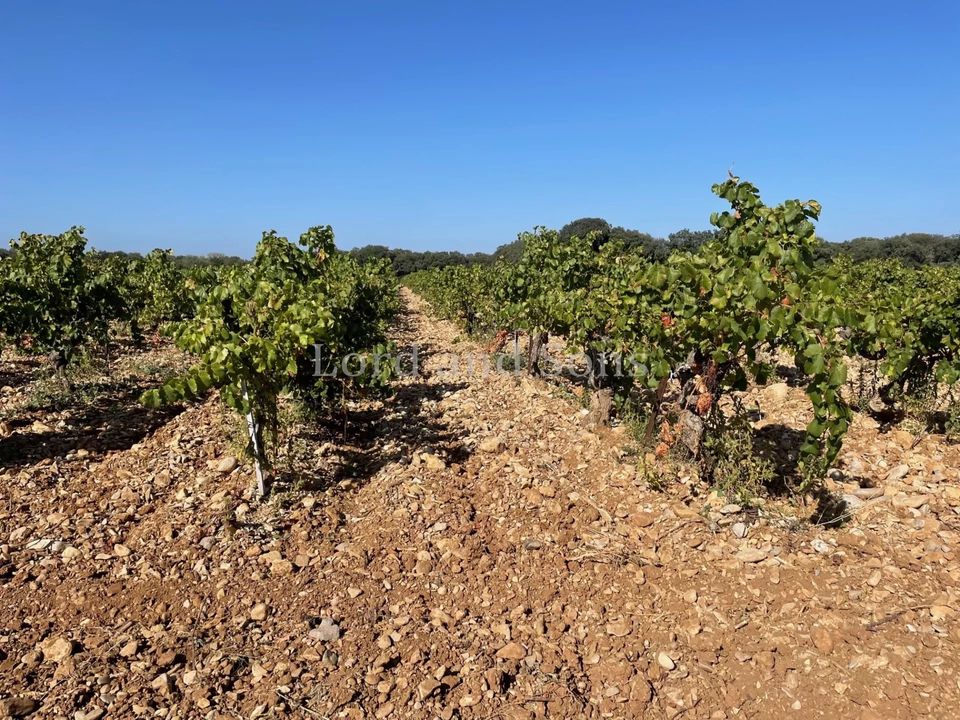 Landejendom i Suze-la-Rousse, Drome - foto 4
