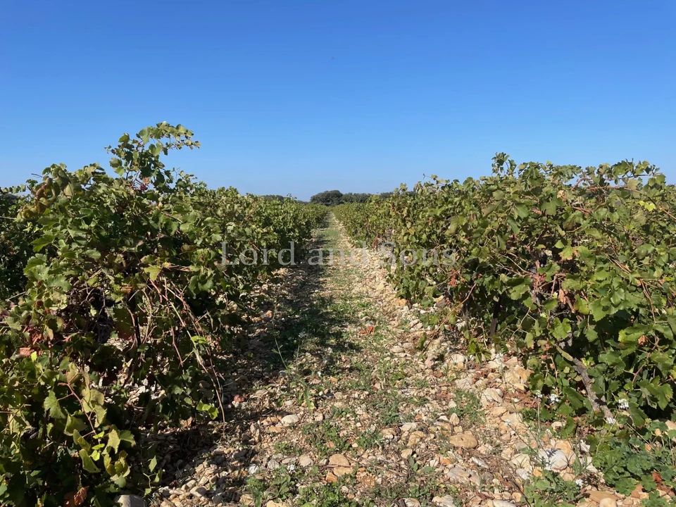 Landejendom i Suze-la-Rousse, Drome - foto 5