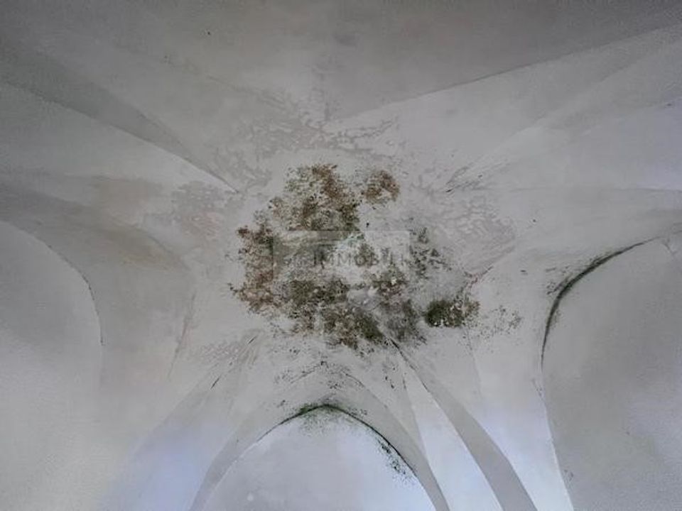 Helårsgrund i San Vito dei Normanni, Brindisi - foto 5