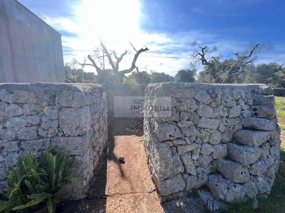 Helårsgrund i San Vito dei Normanni, Brindisi - foto 3