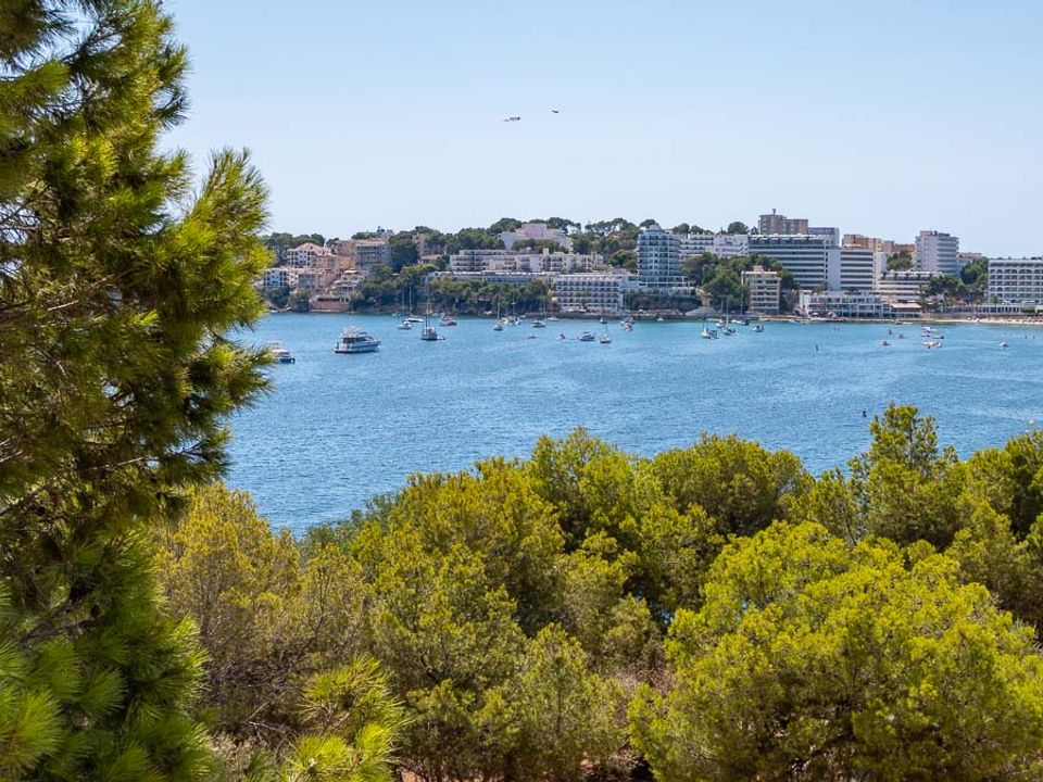 Lejlighed i Palmanova, Mallorca - foto 2