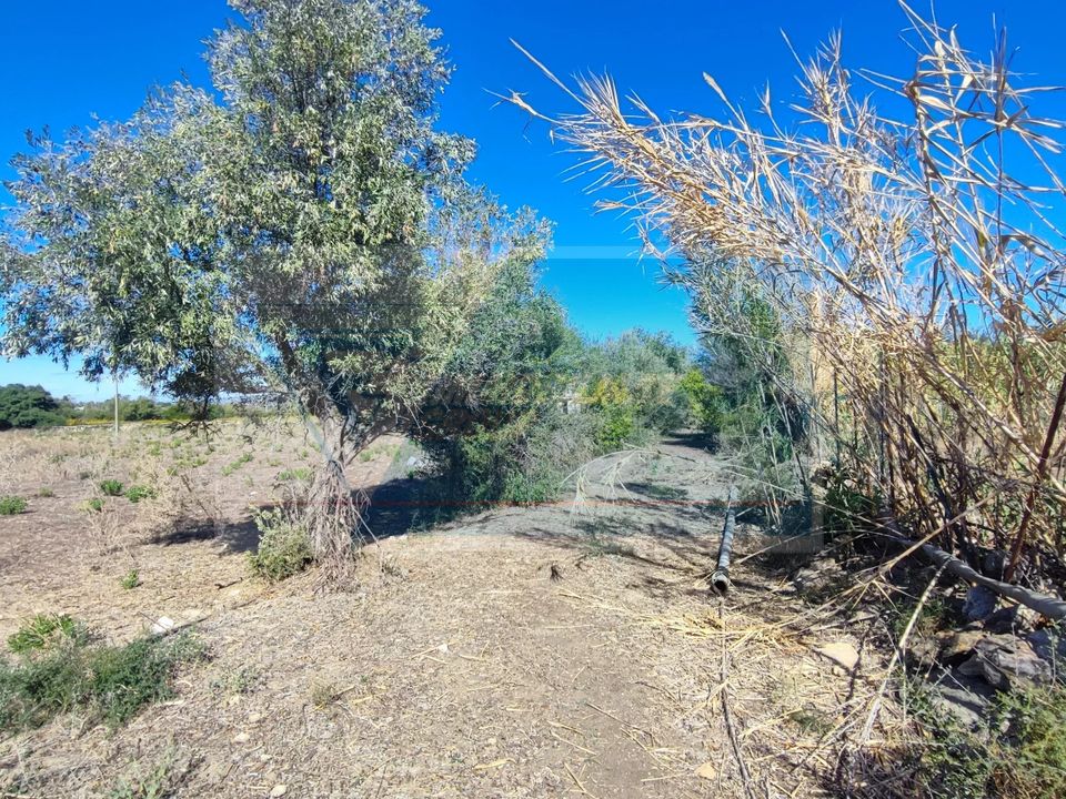 Helårsgrund i Siracusa, Siracusa - foto 1