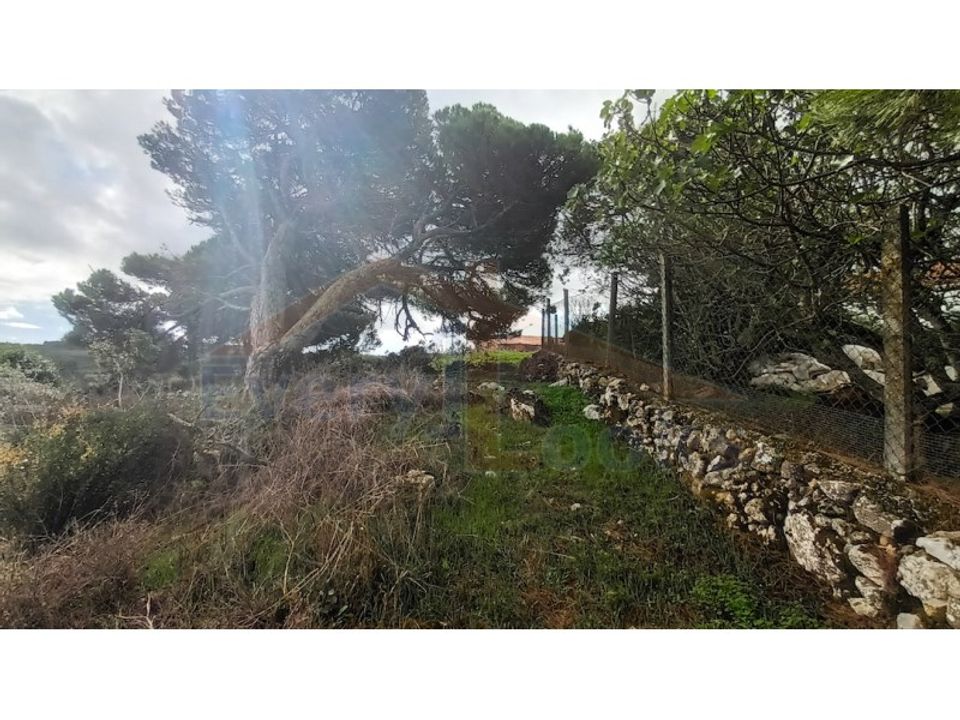 Helårsgrund i Serra de El Rei, Leiria - foto 3