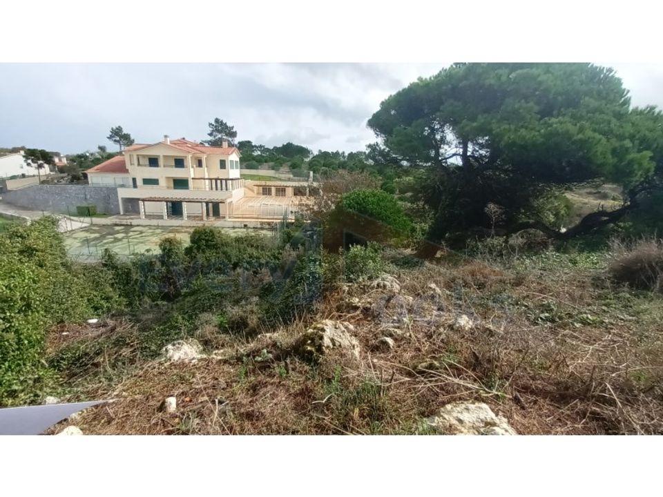 Helårsgrund i Serra de El Rei, Leiria - foto 4