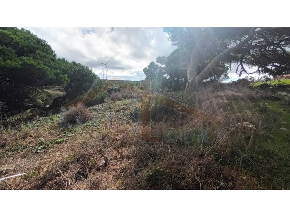 Helårsgrund i Serra de El Rei, Leiria - foto 5