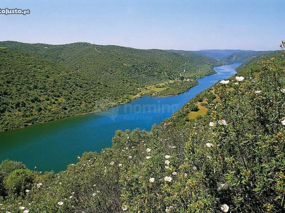Helårsgrund i Rosmaninhal, Castelo Branco - foto 3