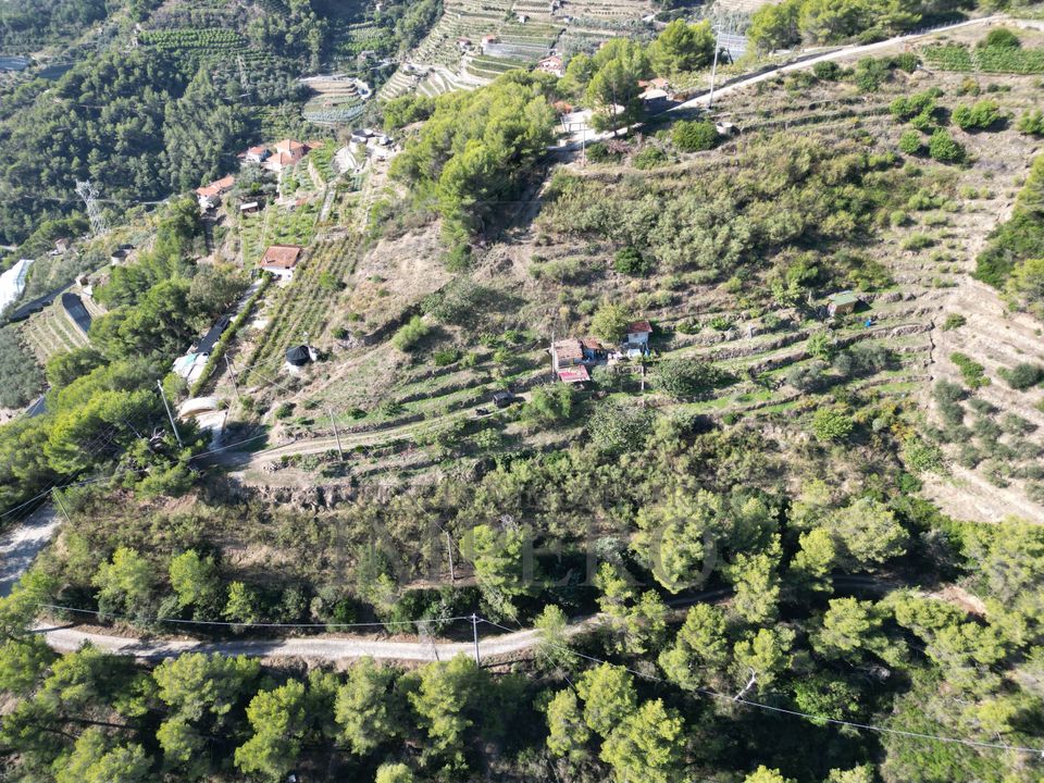 Villa i Soldano, Imperia - foto 2