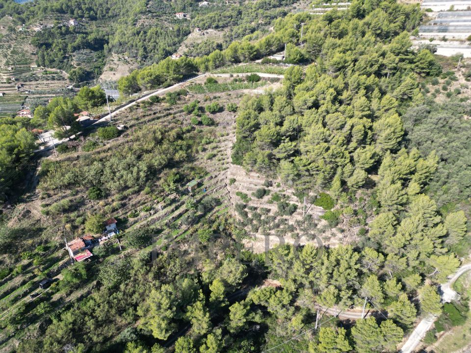 Villa i Soldano, Imperia - foto 3