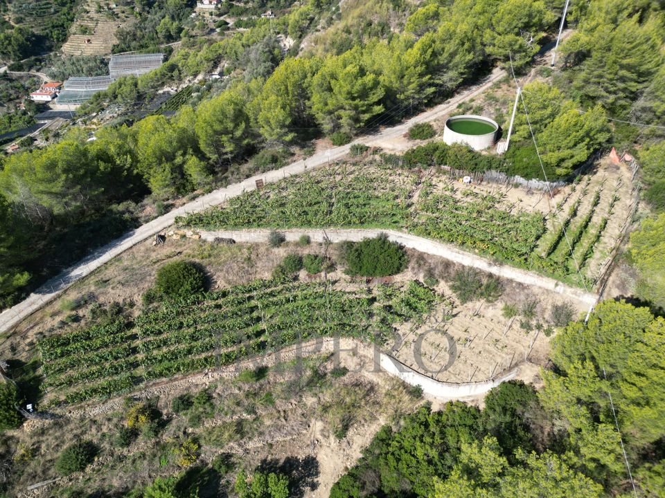 Villa i Soldano, Imperia - foto 4