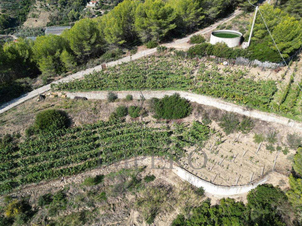 Villa i Soldano, Imperia - foto 5