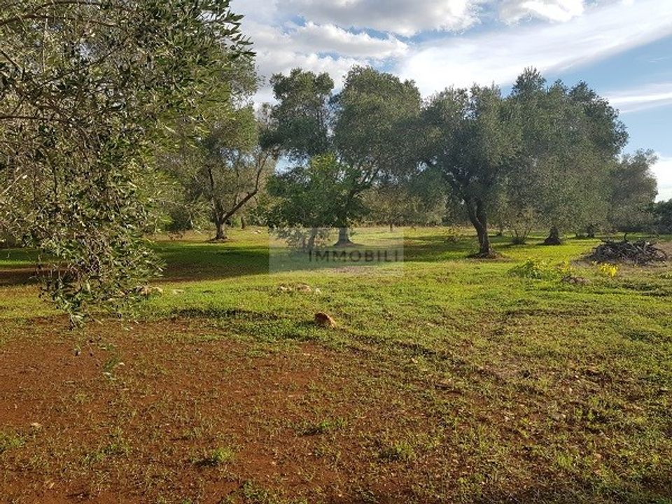 Helårsgrund i Carovigno, Brindisi - foto 5