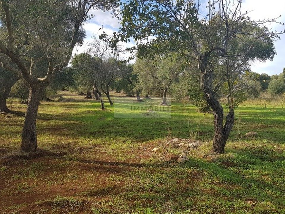 Helårsgrund i Carovigno, Brindisi - foto 3