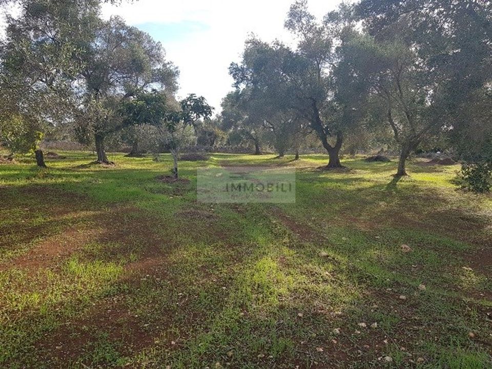 Helårsgrund i Carovigno, Brindisi - foto 4