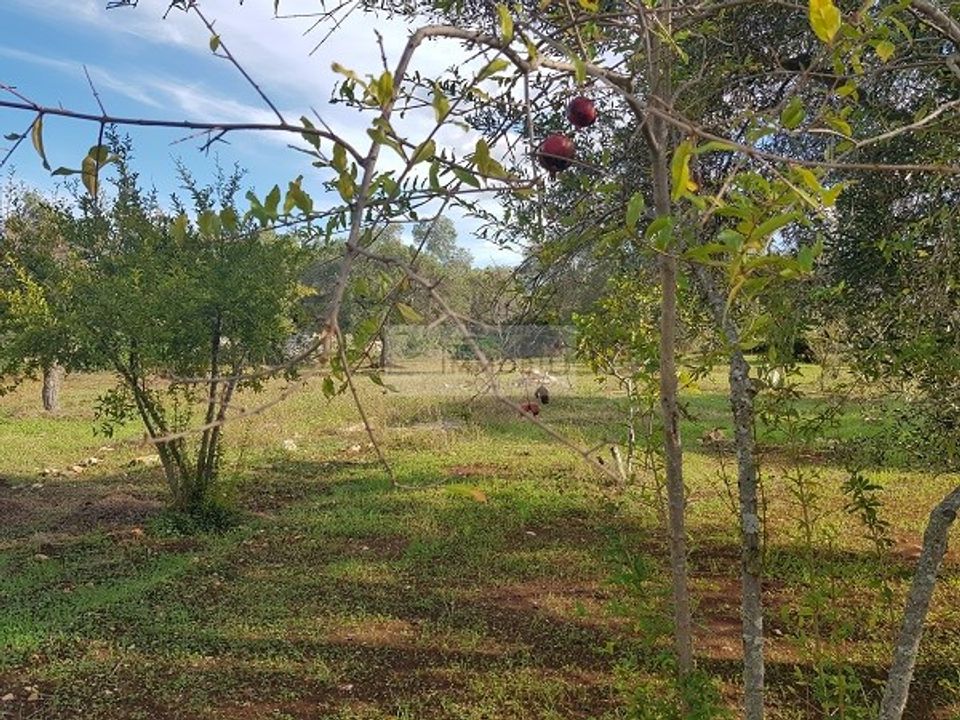 Helårsgrund i Carovigno, Brindisi - foto 2