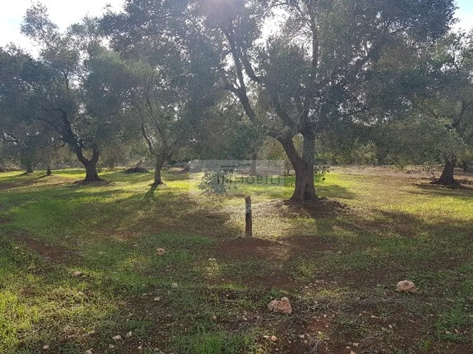 Helårsgrund i Carovigno, Brindisi - foto 1