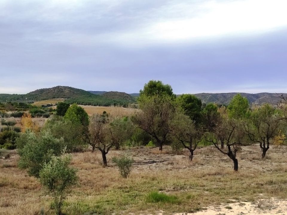 Landejendom i Ontinyent, Valencia - foto 3