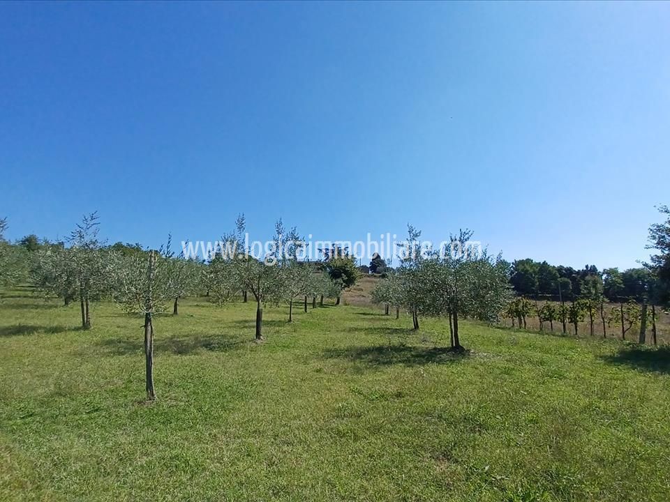 Farm hus i Lucignano, Arezzo - foto 5