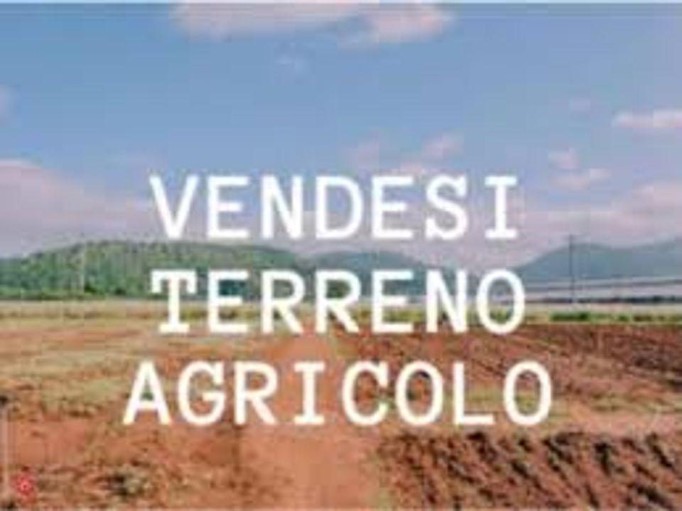 Helårsgrund i Taglio di Po, Rovigo - foto 1