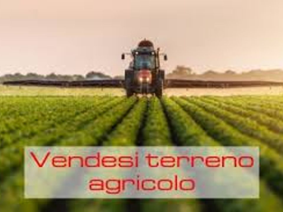 Helårsgrund i Taglio di Po, Rovigo - foto 2
