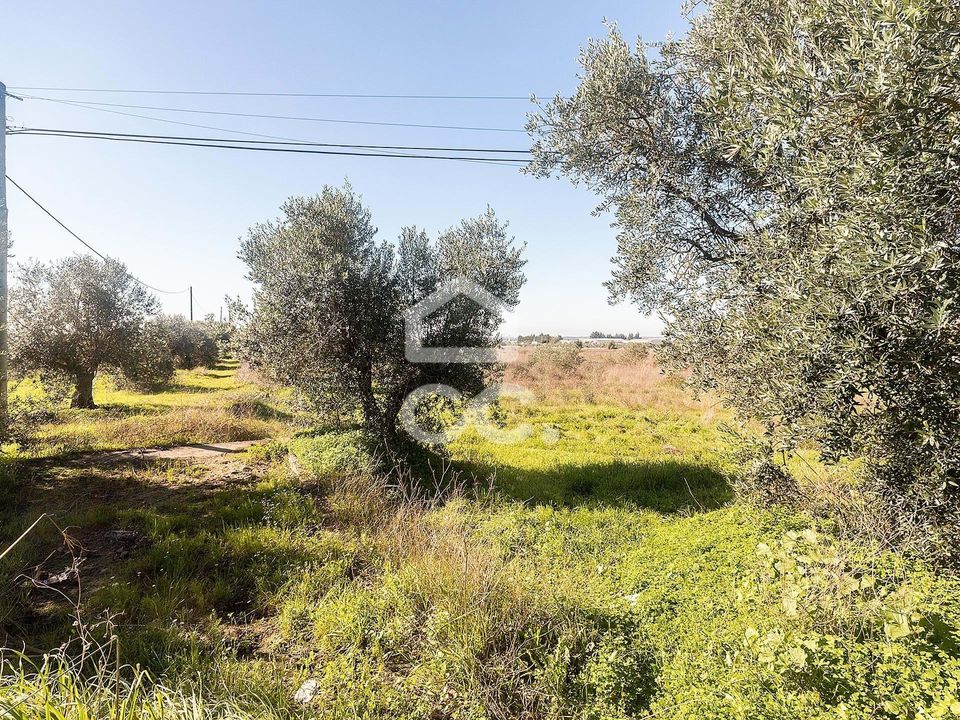 Helårsgrund i Reguengos de Monsaraz, Evora - foto 4