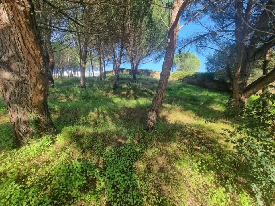 Helårsgrund i Constancia, Santarem - foto 2